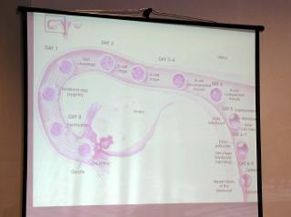 P1010007.jpg
