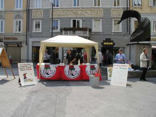 P1010049.jpg