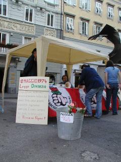 P1010077.jpg